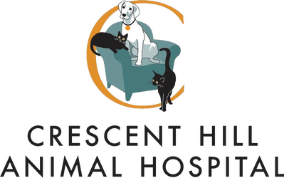 Crescent Hill Animal Hospital - Home